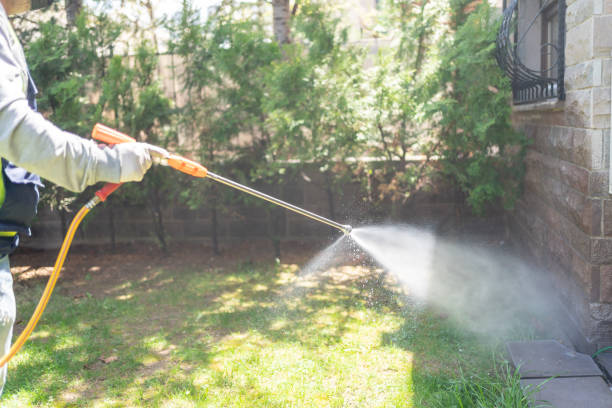 Professional Pest Control in Winnfield, LA